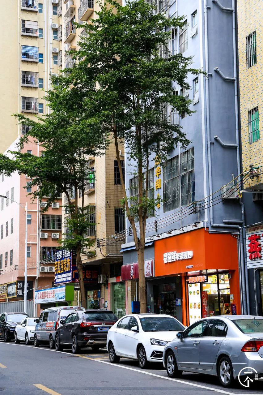 深圳航空空姐空少,深圳航空空少乘务员