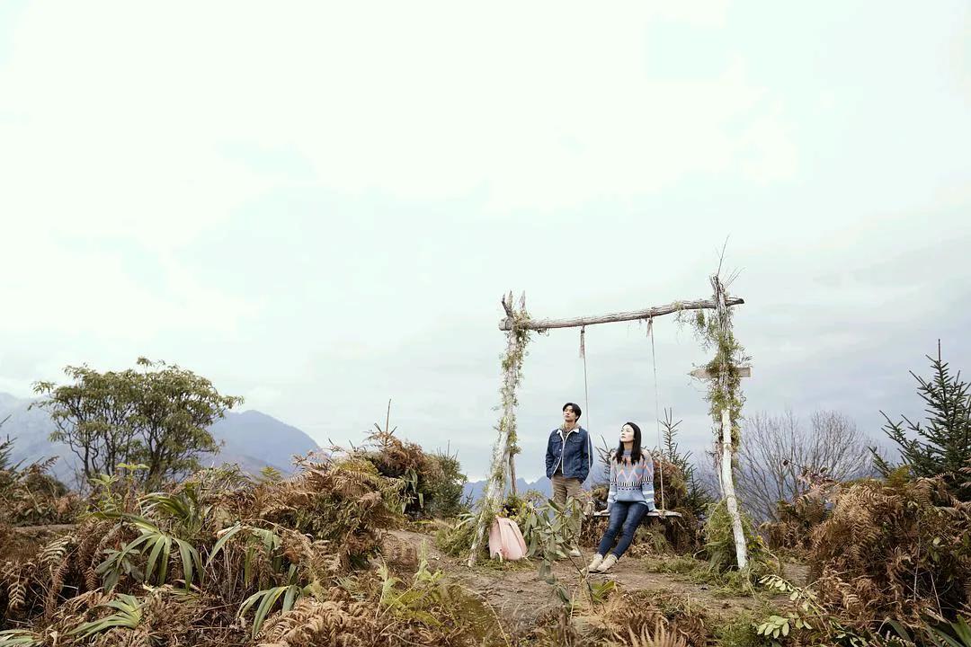 贺岁档电影分析，想看电影但没决定看哪部电影的你还不看过来