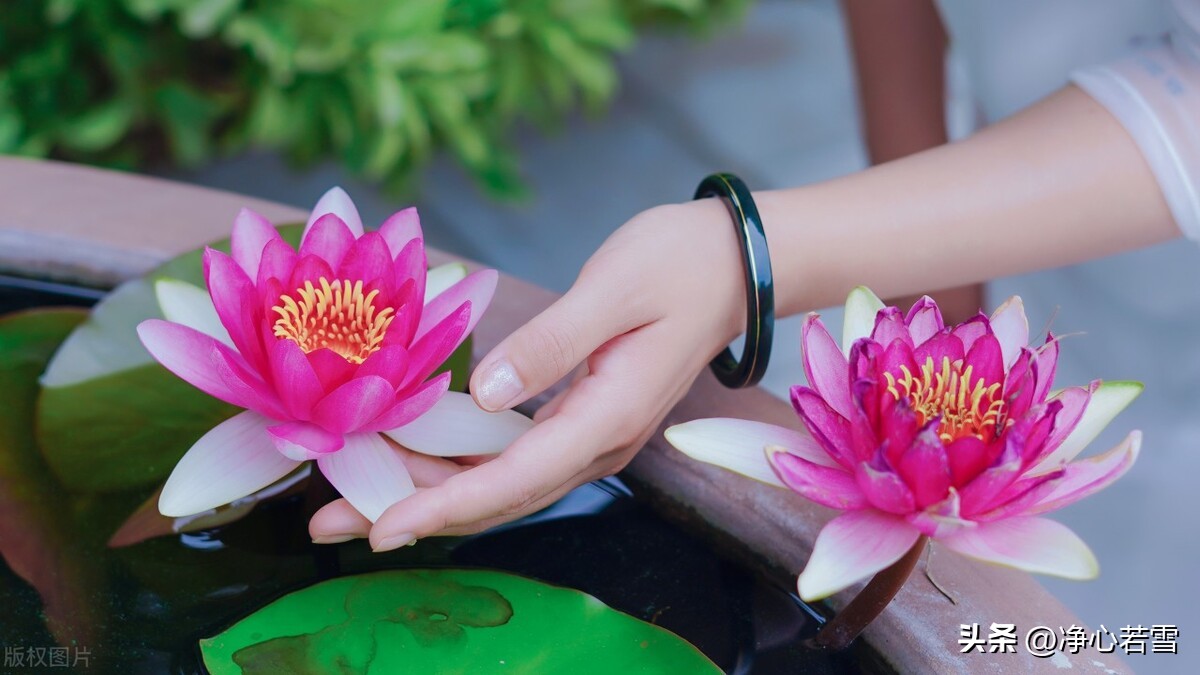 妙乐师父和虚云,虚云老和尚弟子妙乐法师