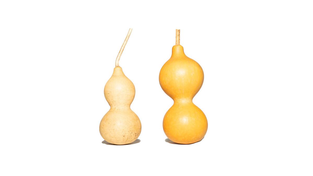 端午节不能说节日快乐的原因,端午节祝福不能讲端午节快乐吗