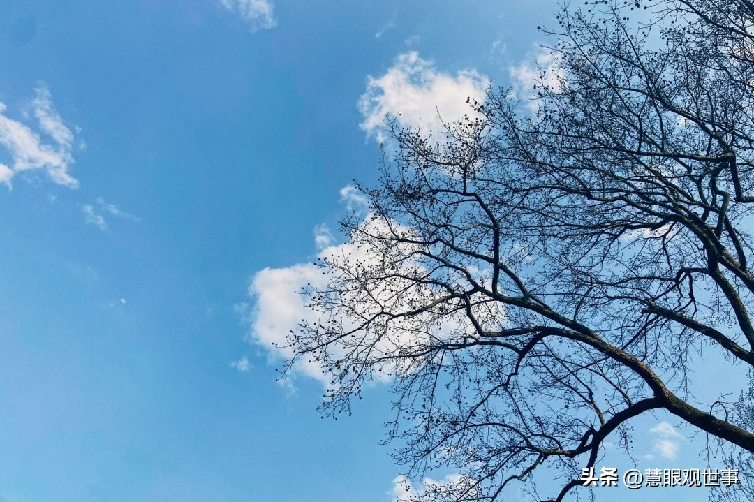 自然现象的古诗词,学生必背古诗词41到60句