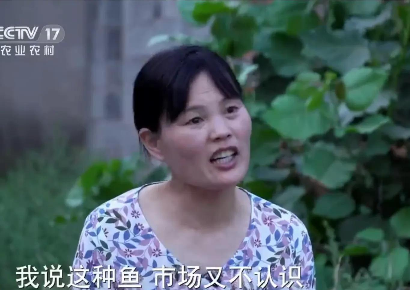 承包鱼塘也能年入百万,男子承包鱼塘后续