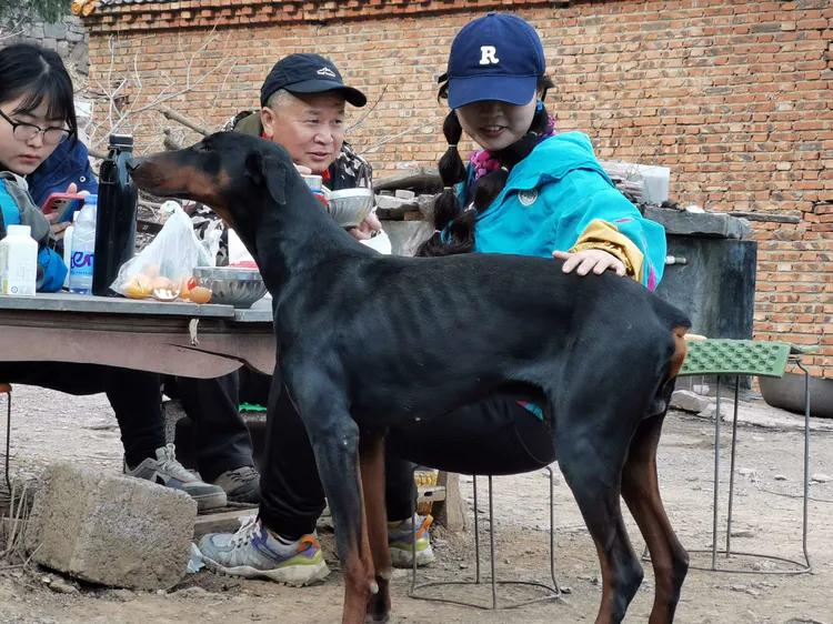 绝壁大梯白云寺,徒步白云寺