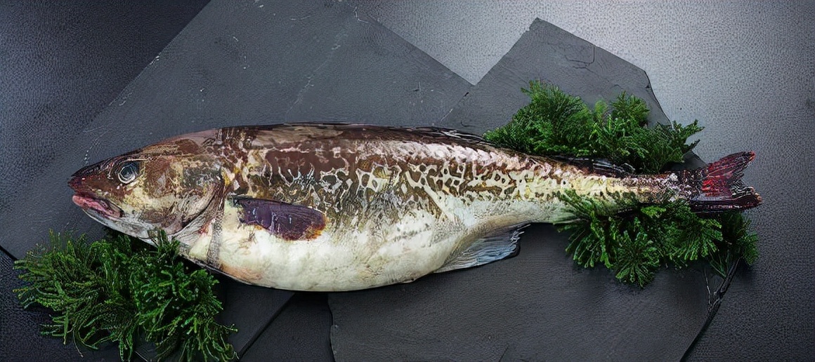 30种最常吃的家常鱼种类图片,最常见的50种食用鱼吃法和价格