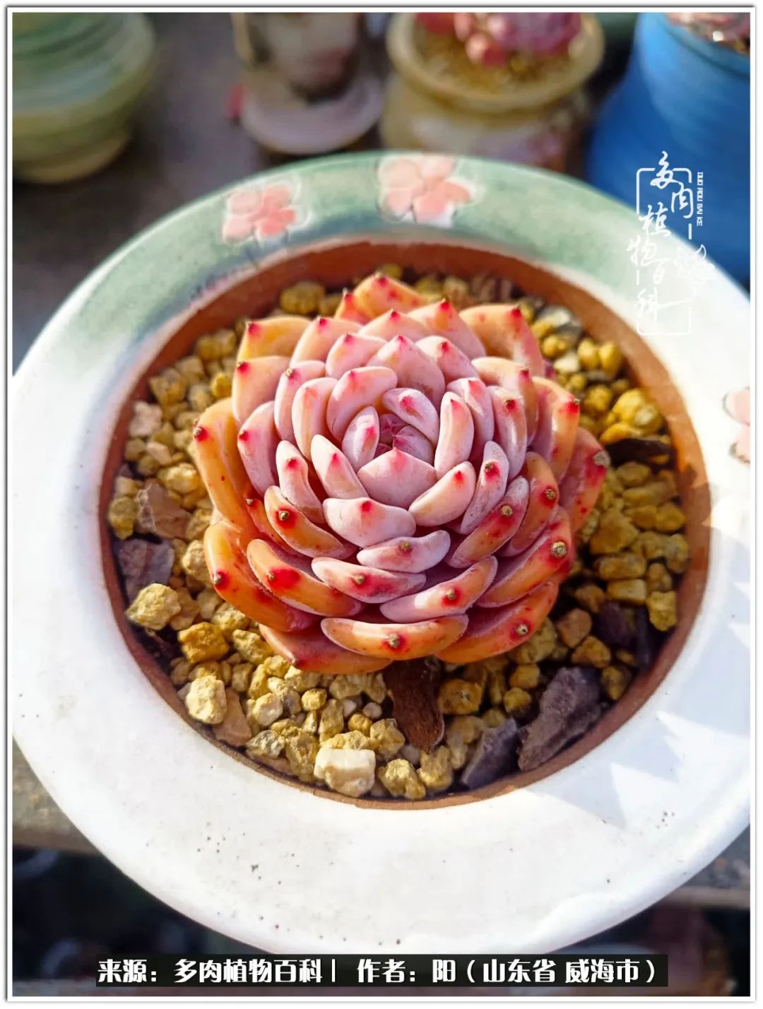 浜洪棿鐑熺伀鑷湁涓囧崈棰滆壊,浜洪棿鐑熺伀鐨嗘槸骞冲嚒棰滆壊