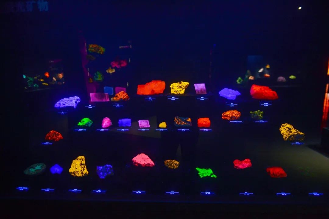 打卡山东博物馆和大明湖,山东博物馆打卡预约