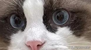 这个才能治愈你的不开心