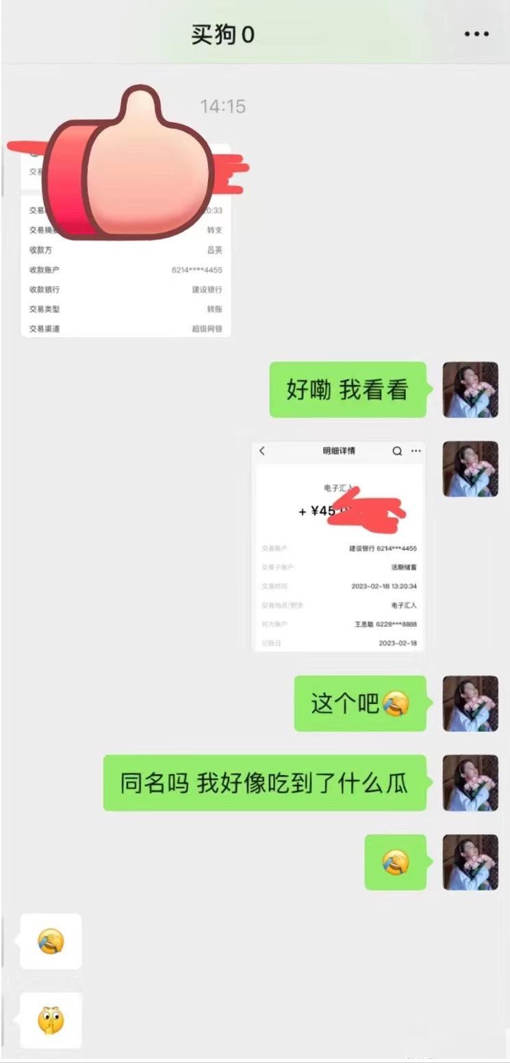 王思聪宠物狗一年花费上百万,王思聪的宠物狗