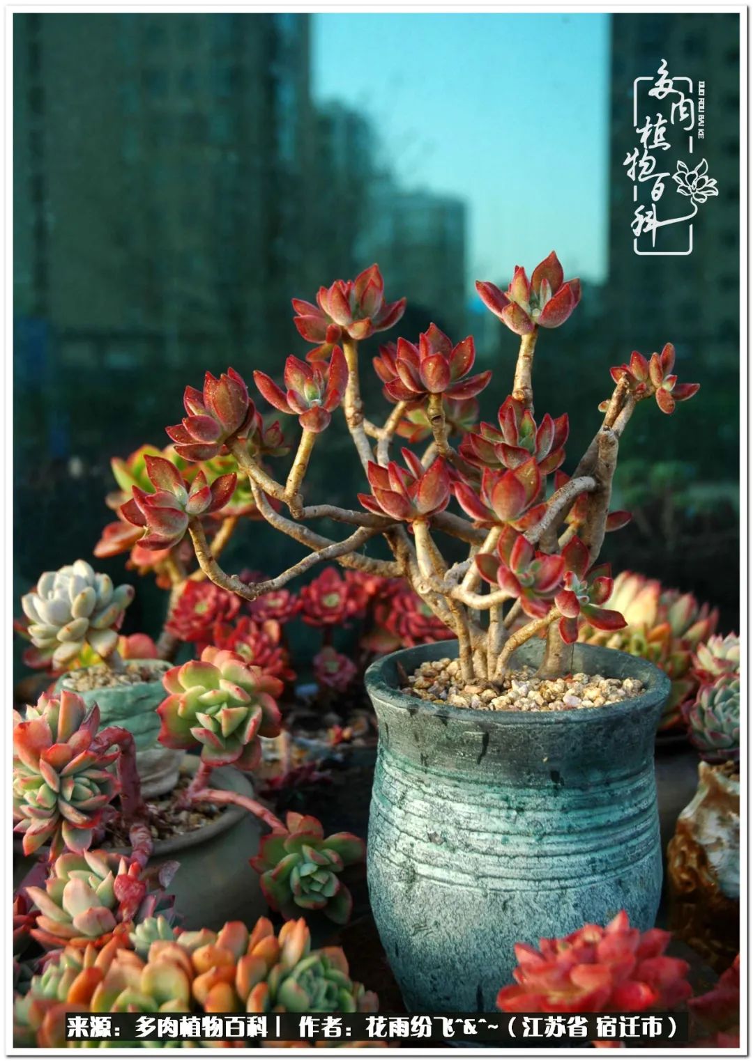 回味童年无忧无虑的快乐时光,童年最快乐的时光