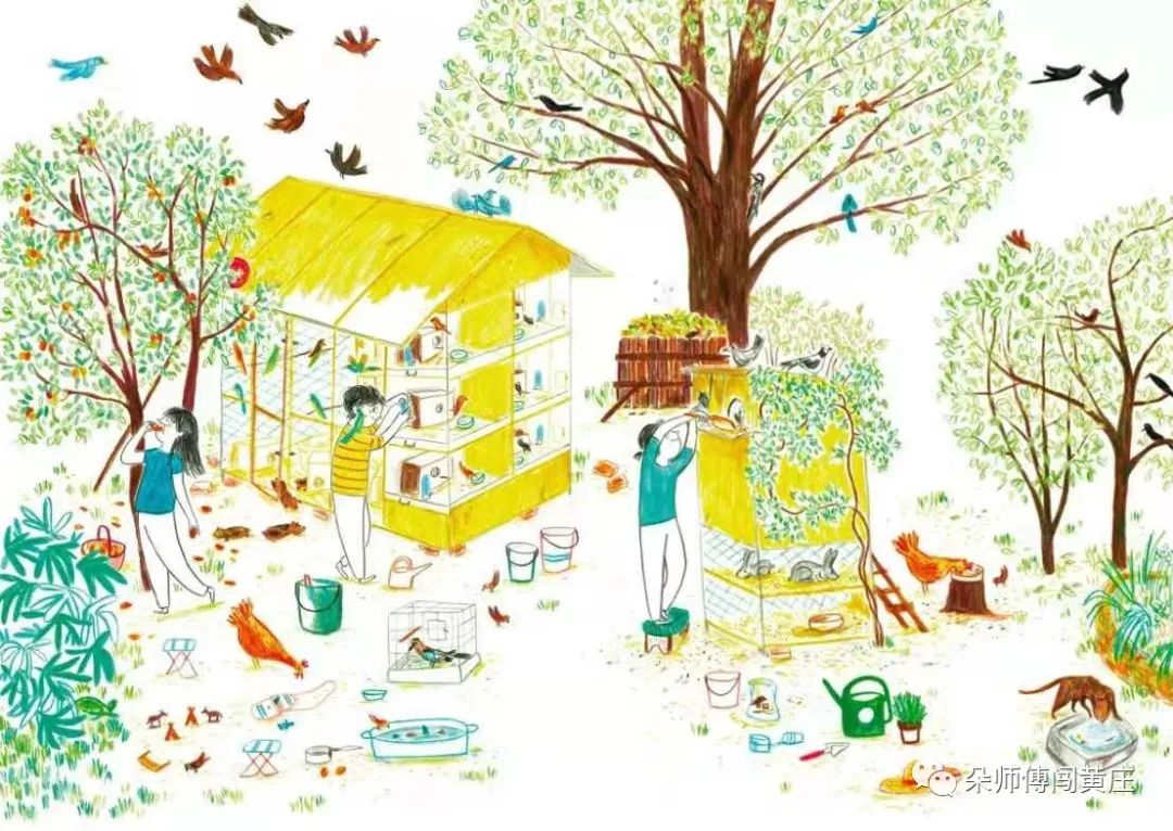 拒绝烂童书，朵妈帮你找到那些大V都不告诉你的好书