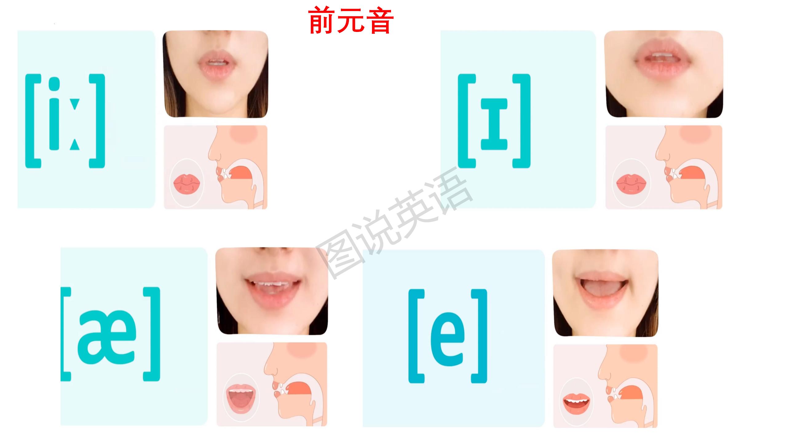 一分钟学会背48个国际音标,一口气背15个单词