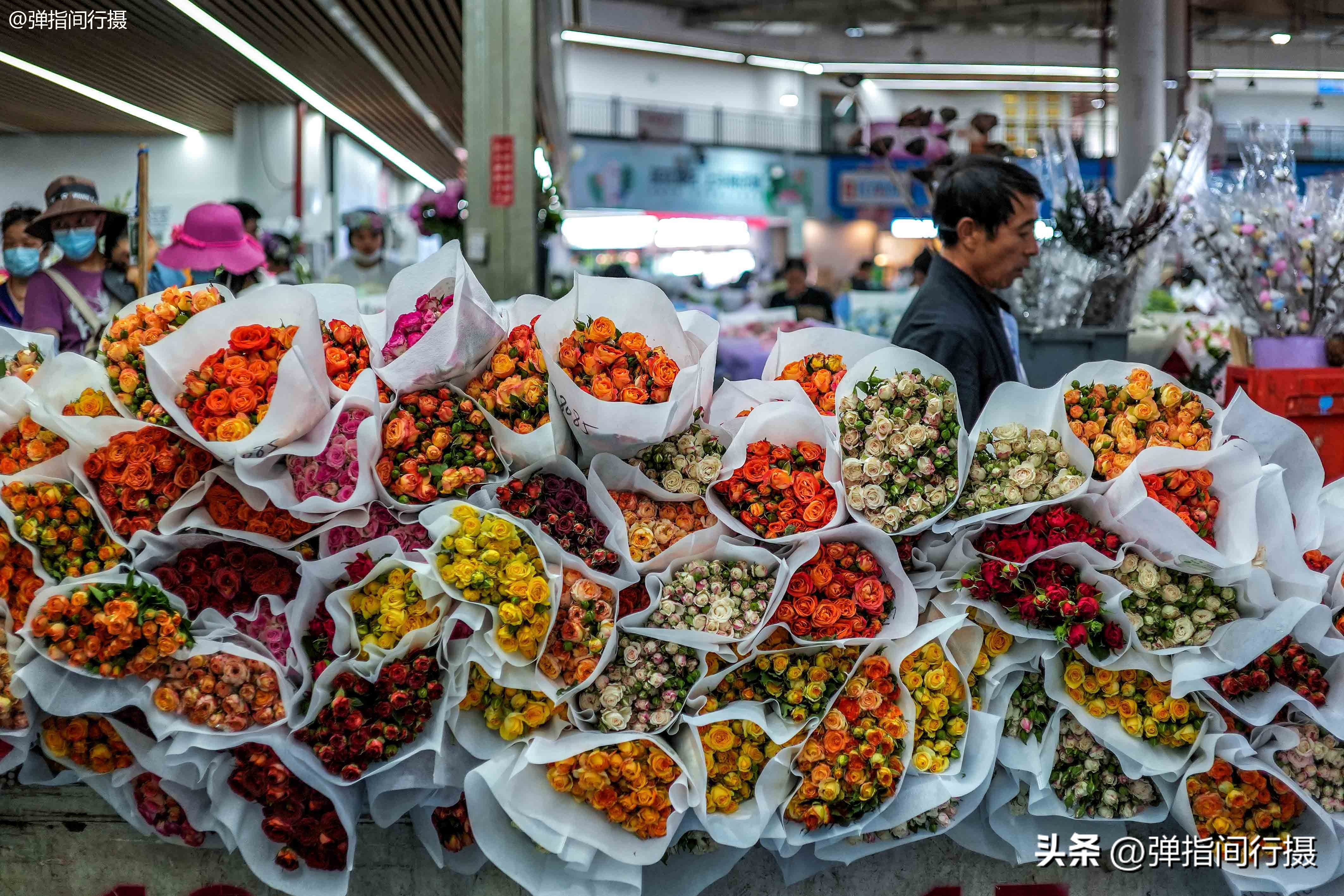 昆明春天假日游玩推荐特辑,昆明春天旅游攻略