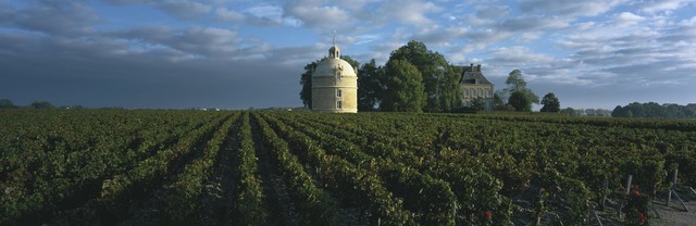 请说出5个法国葡萄酒产区名称,简述中国葡萄酒的主要产区及名品