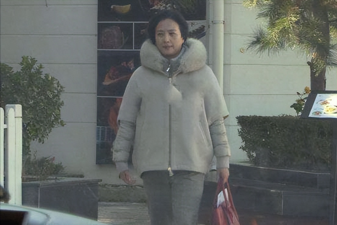 放弃婚姻和事业，若不是“天仙妈妈”刘晓莉，怎会有刘亦菲今天？