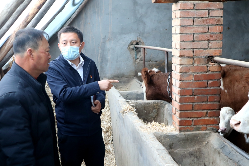 【乡村振兴工作队先进事迹展播】驻村帮扶传真情振兴路上铆足劲——记小屯村乡村振兴驻村帮扶工作队队长阎昊