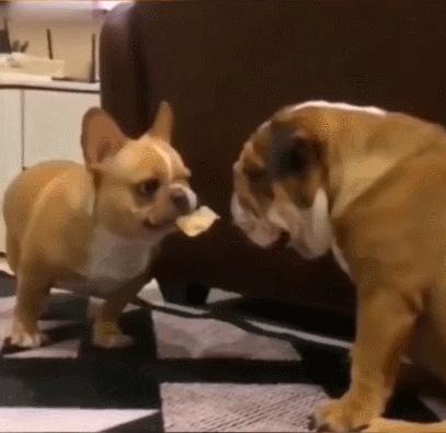 女厕的诡异事件,诡异女厕