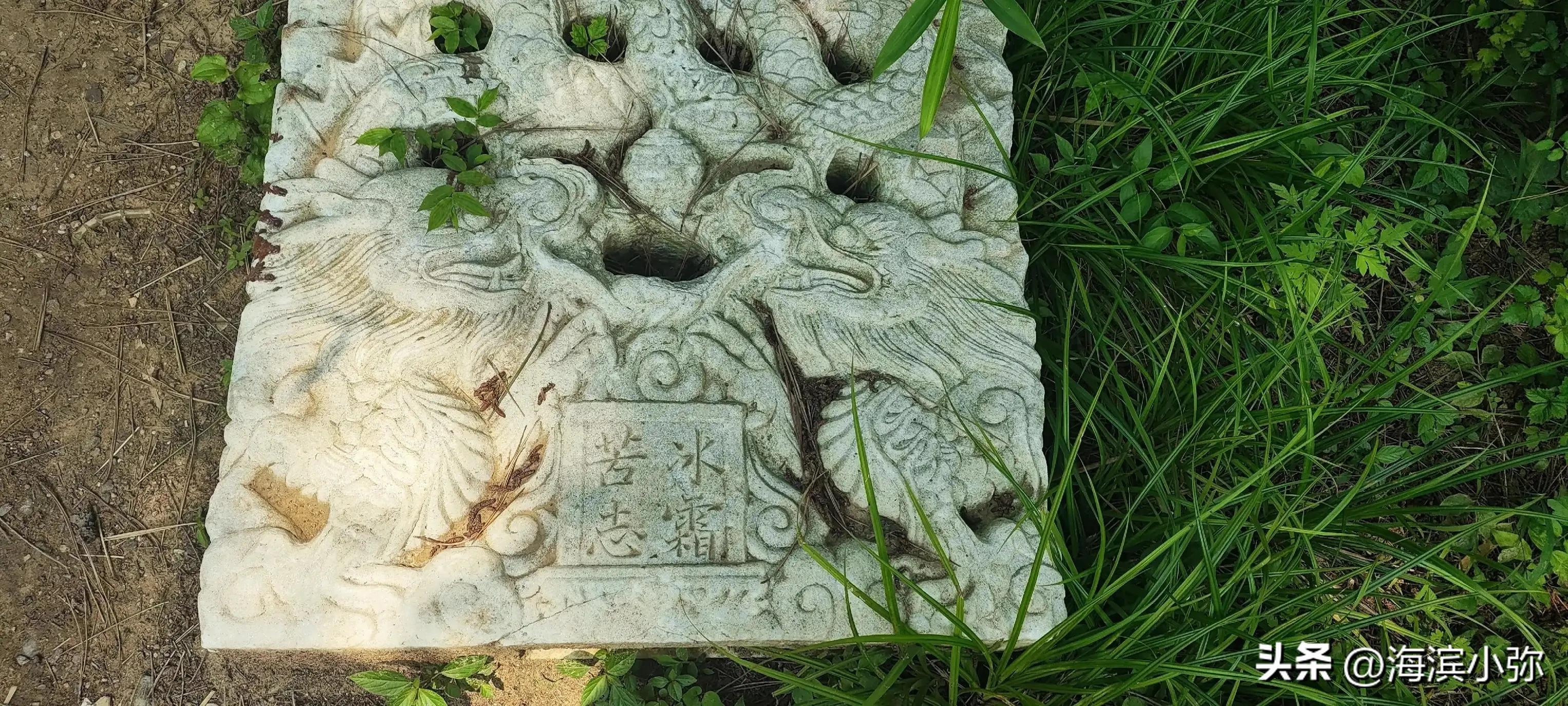 亲身徒步探访东海公园滨海路全纪录（二）