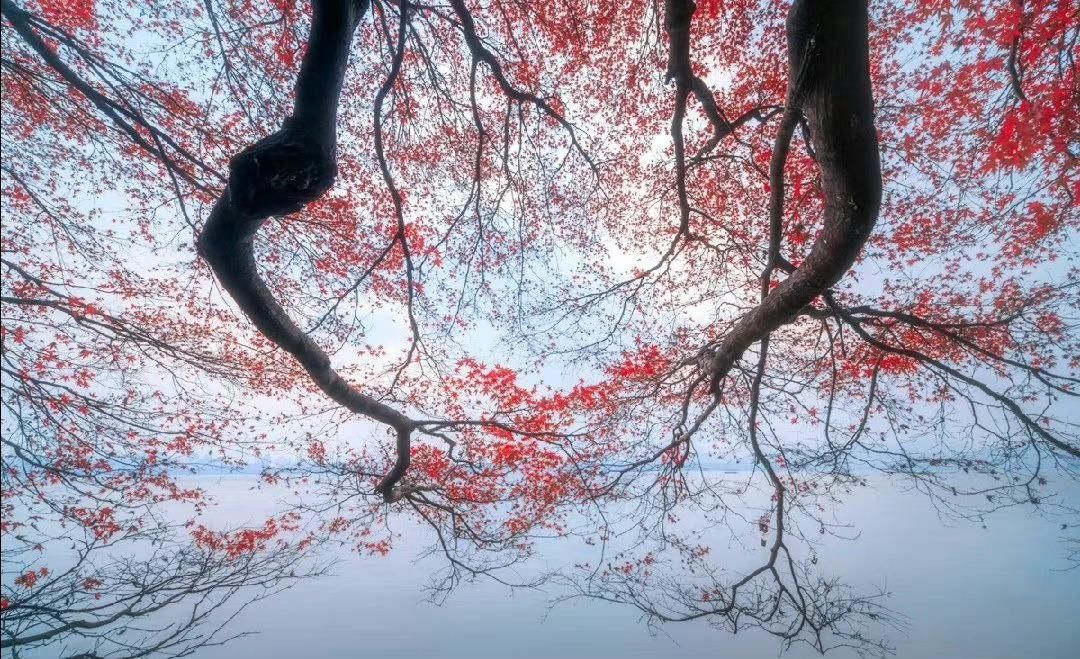 形容孤独寂寞的诗词句子,耐得住寂寞的经典诗词