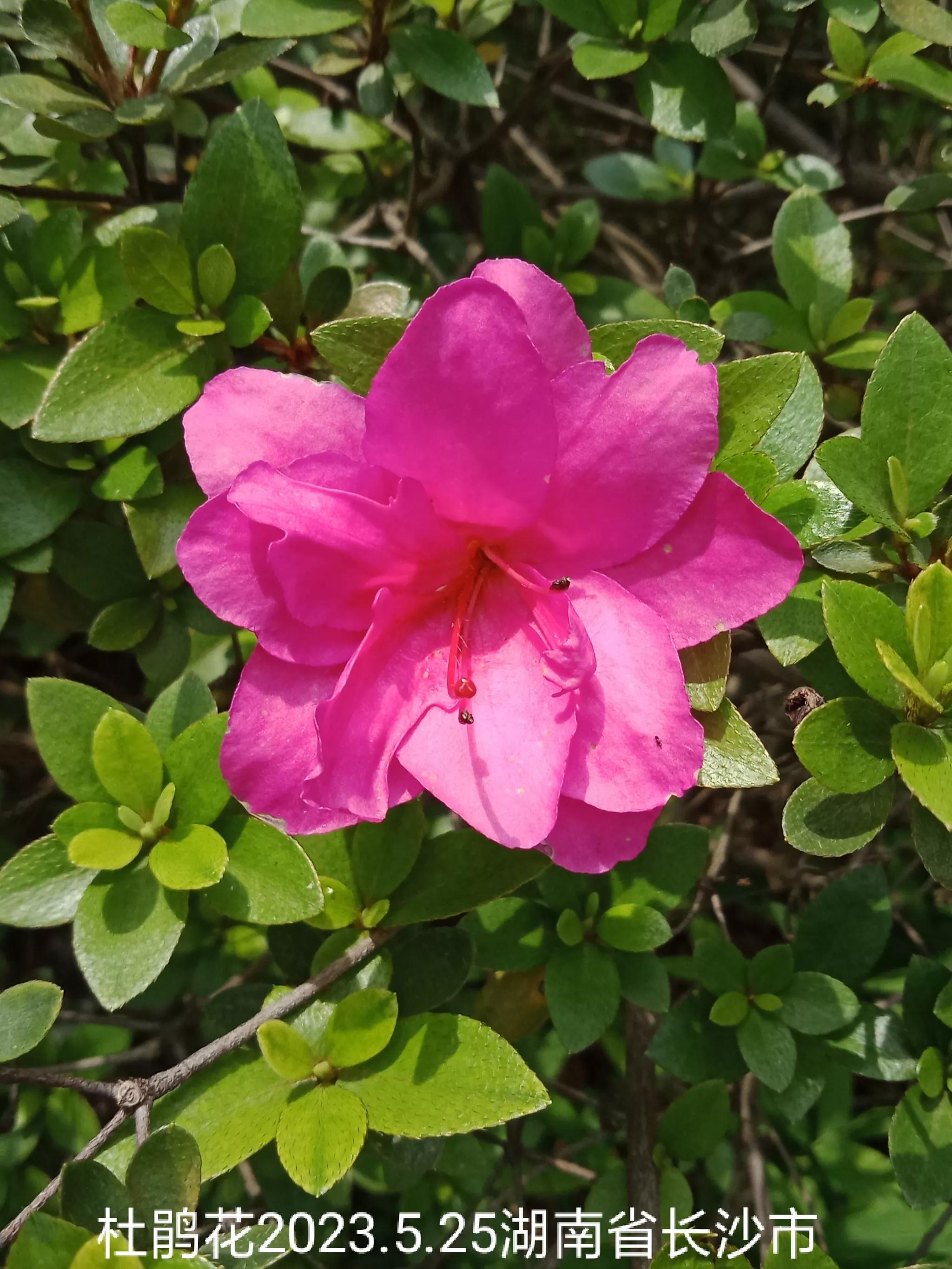 微信群没有保存下来怎么找回来,怎么找回没保存的微信群