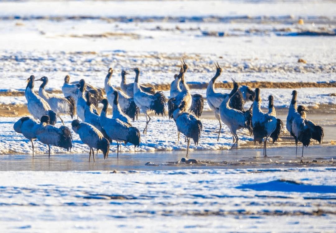 藏东旅游攻略,藏西旅游
