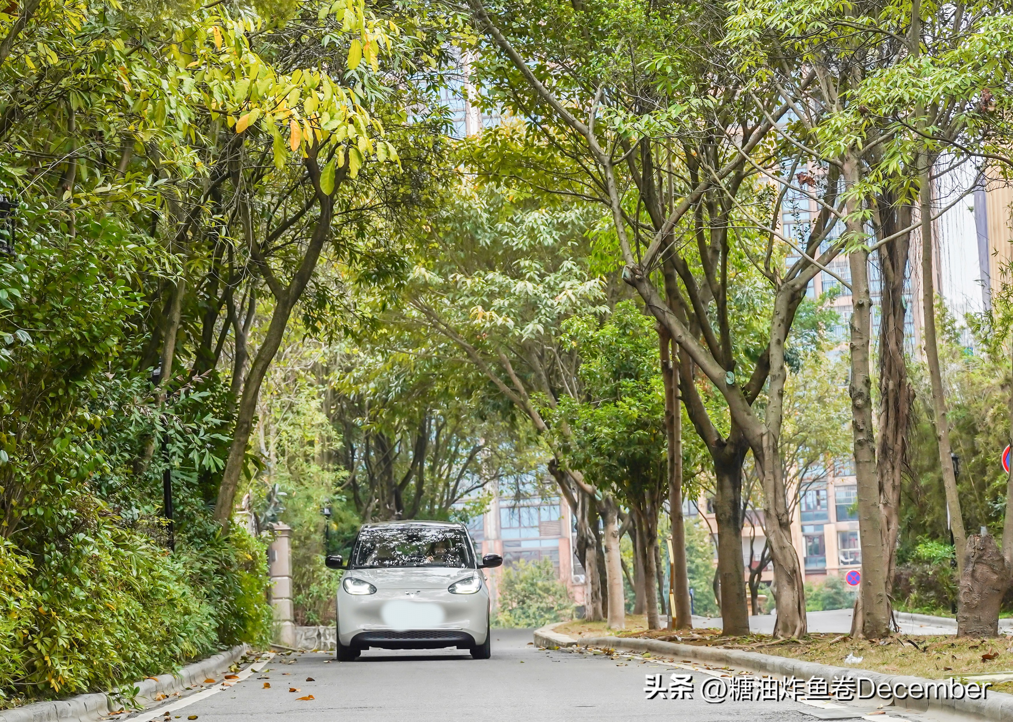 石埠乳业生态观光牧场有限公司,广西石埠乳业生态观光牧场抖音号