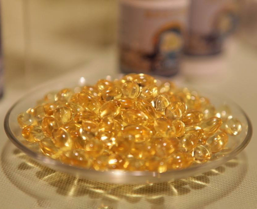 辽宁大连100头斑海豹幼仔遭猎捕,辽宁盘锦斑海豹罕见上岸晒日光浴