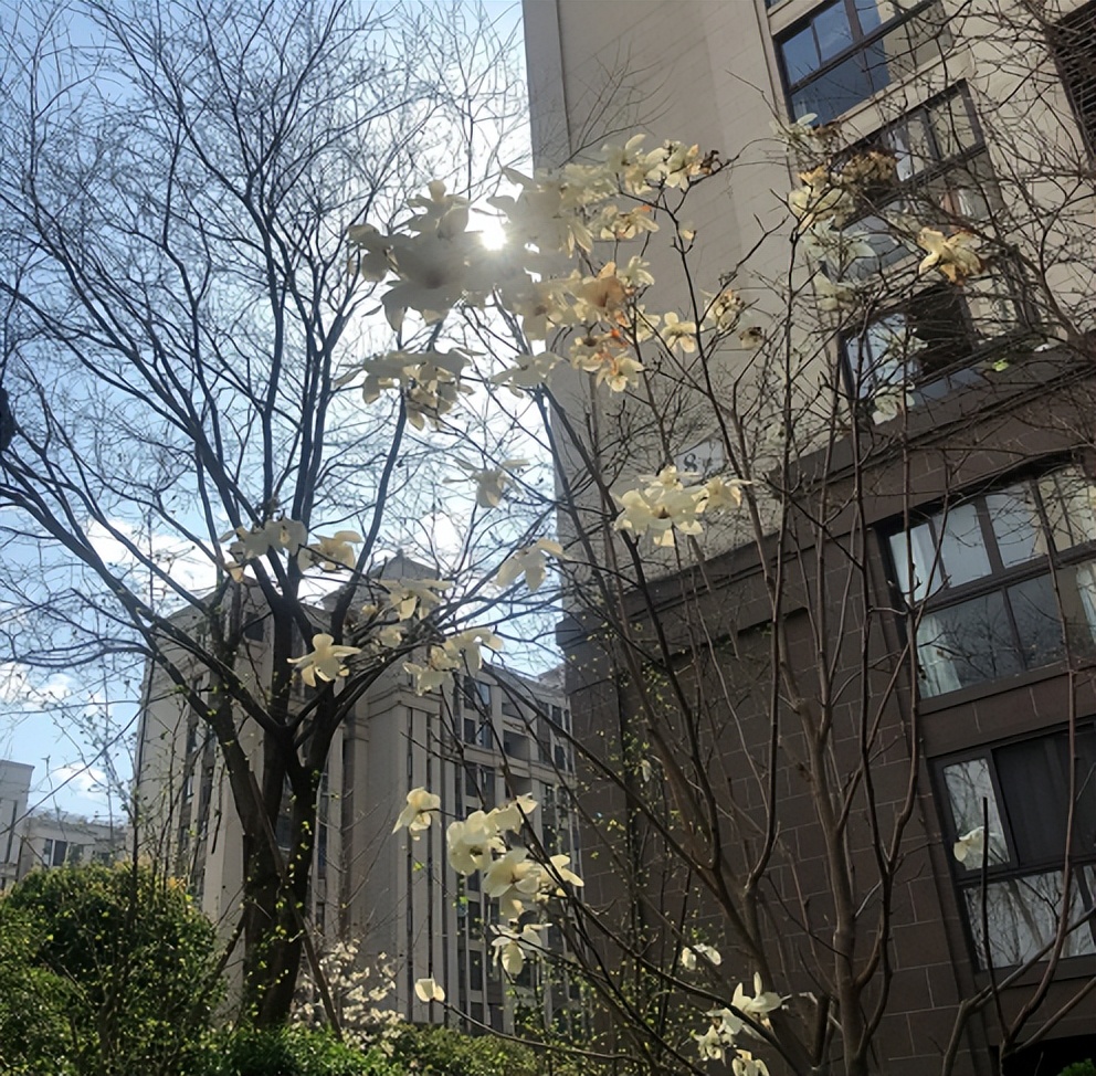 宁波北仑月入多少,北仑家庭开销