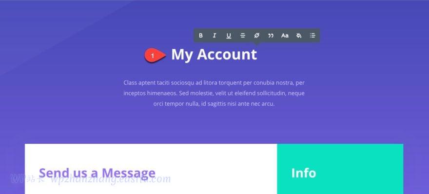 divi建站,divi中文教程