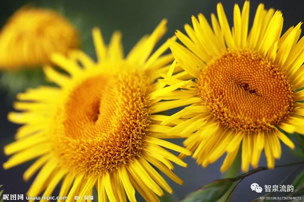 郭进栓汝州,郭进栓