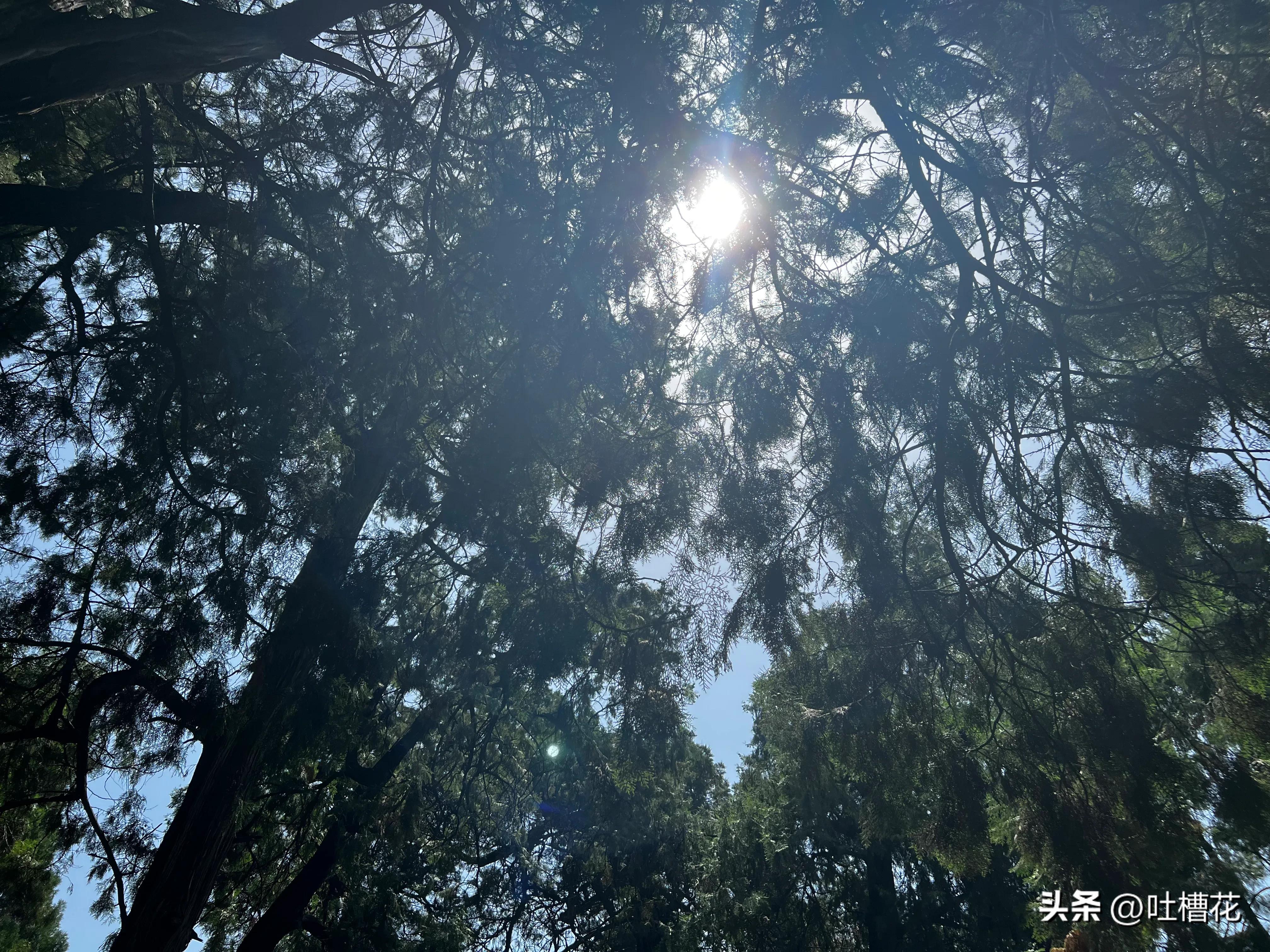 37℃，高温下逛完孔庙，孔子姓啥