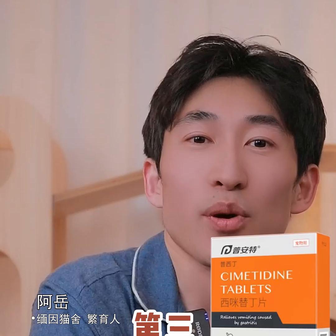 养缅因必备营养品,缅因猫家中常备药