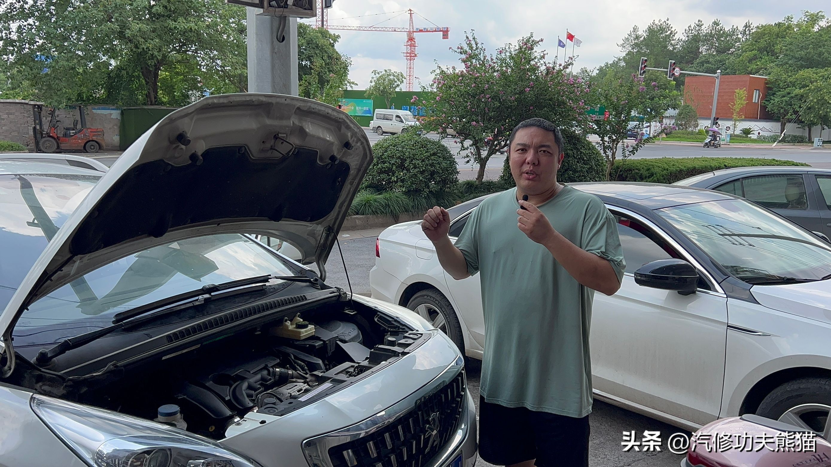 东风标致3008烧机油吗,十大烧机油车排名标致3008