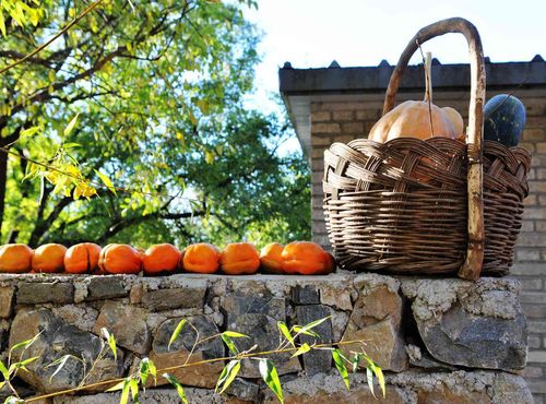 “鄂东七仙品”特产电商平台，原生态特产购物首选