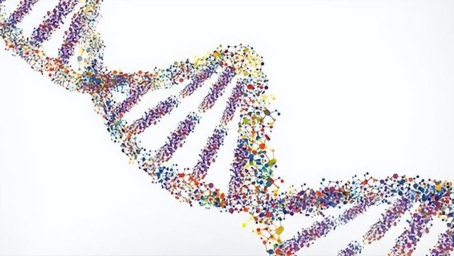 斑秃7年了用米诺地尔有效果吗 (40岁以后用米诺地尔还有效吗)