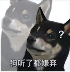 文淇个人工作室,文淇粉丝数量多少