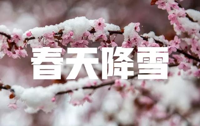 老人说下雪是怎么回事,老人讲大雪