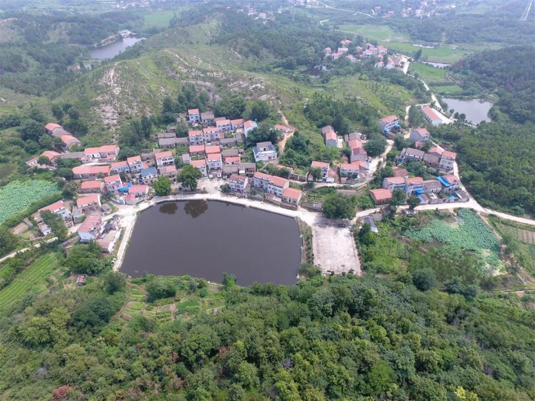 2022新洲文旅精彩不断，2023诗与远方步履不停