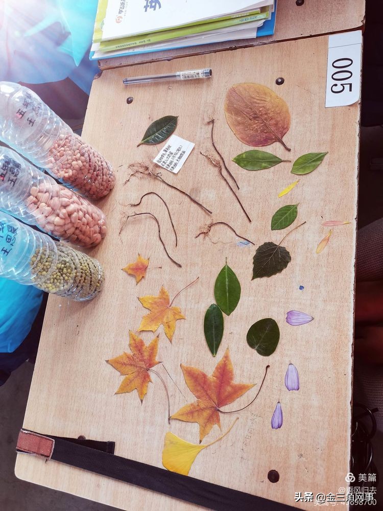 临猗庙上初中推进并践行植物标本课程