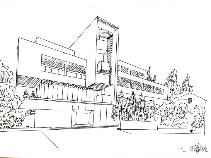 2022猫虎绘暑假手绘班招生简章「线上+线下」