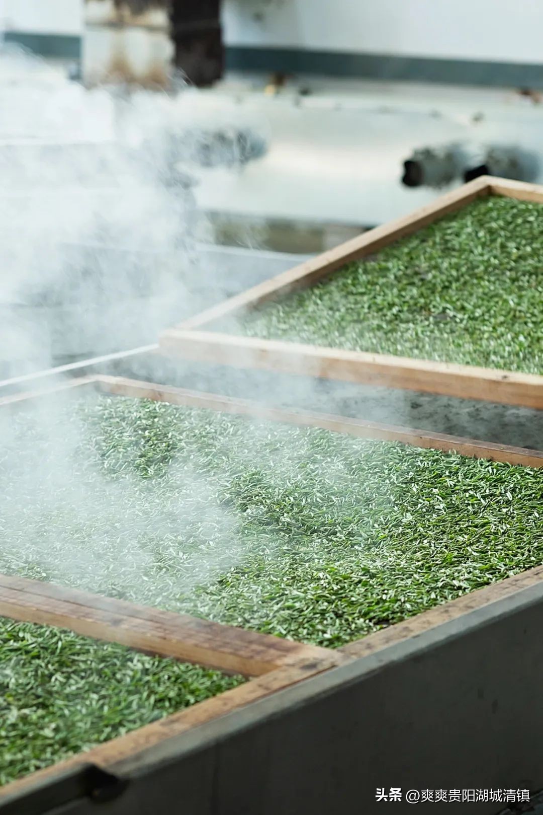 如何全方位读懂中国历史,如何看懂中国的历史