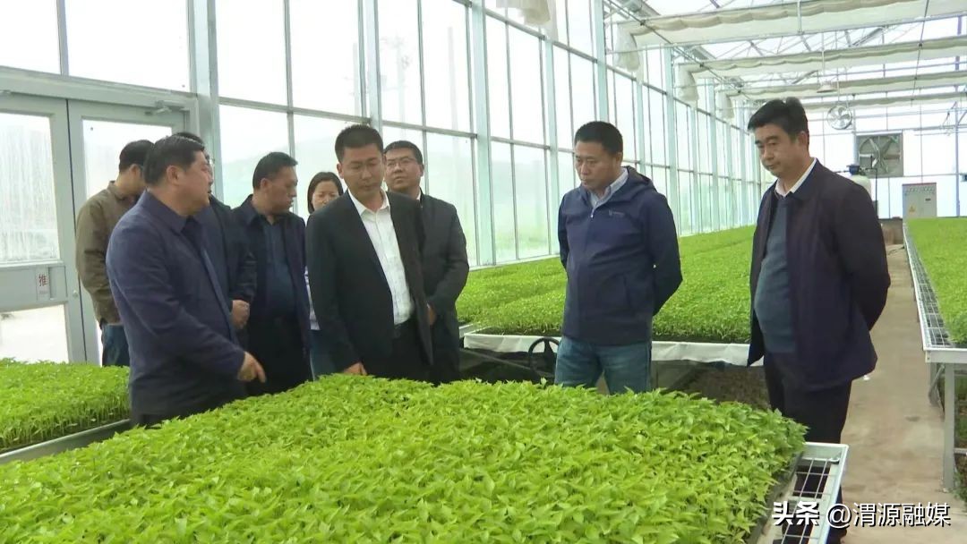 灞变笢鍑洓鍥介檯鍐滀骇鍝佺墿娴佸洯,鍑洓闆嗗洟灞变笢