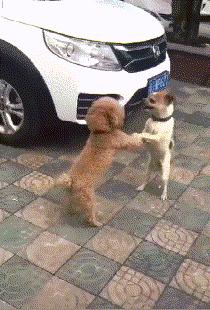 国外的高手,国外大神神级操作