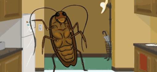 家里有蟑螂怎么消灭最快的方法,家里有蟑螂怎么处理有最有效方法