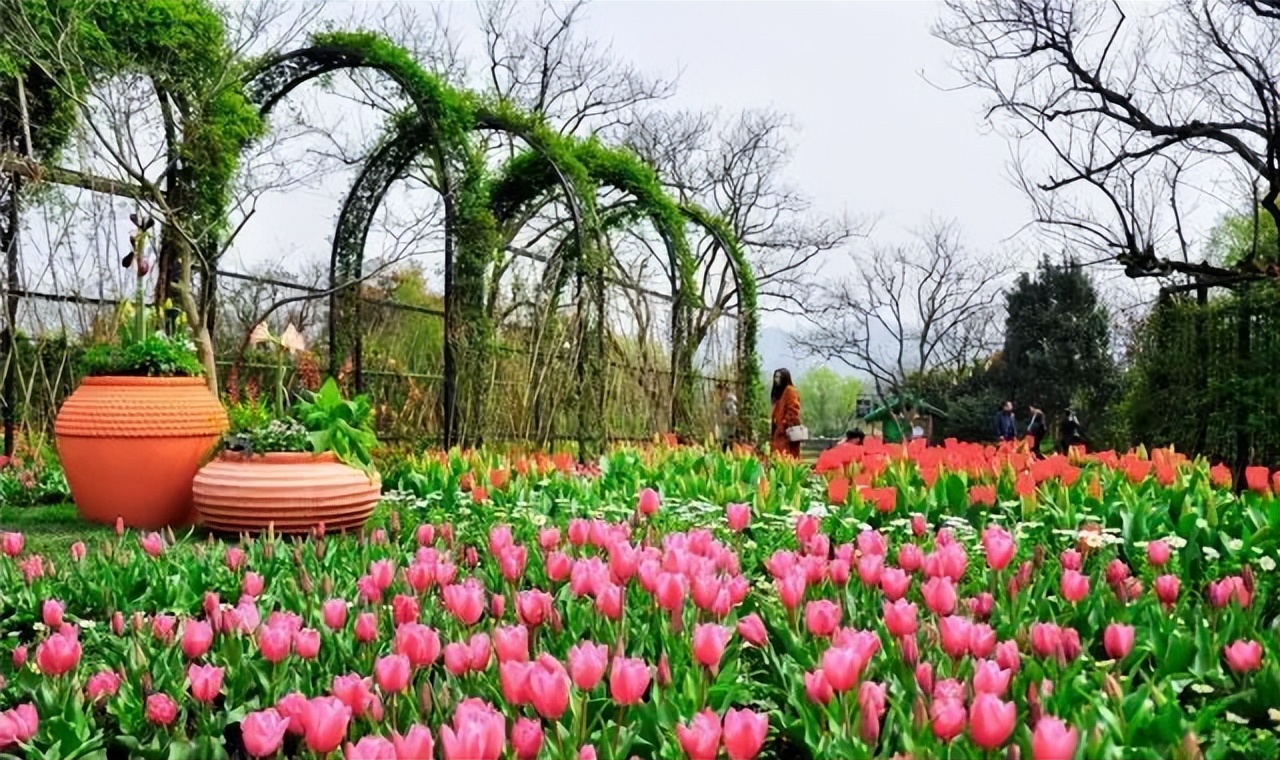 园林景观包括的项目,园林景观主题有哪些