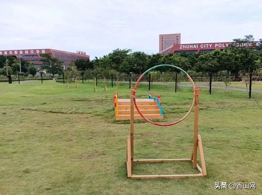 珠海遛狗有市场吗,珠海有哪些地方可以遛狗啊