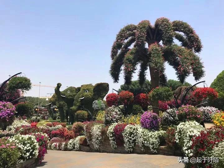 迪拜现状带你看看真实的迪拜,迪拜的真实现状纪录片