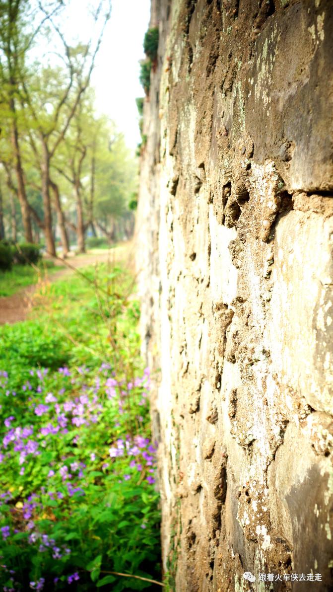 南京城墙下的琵琶湖,南京旅游先看城墙还是先看玄武湖