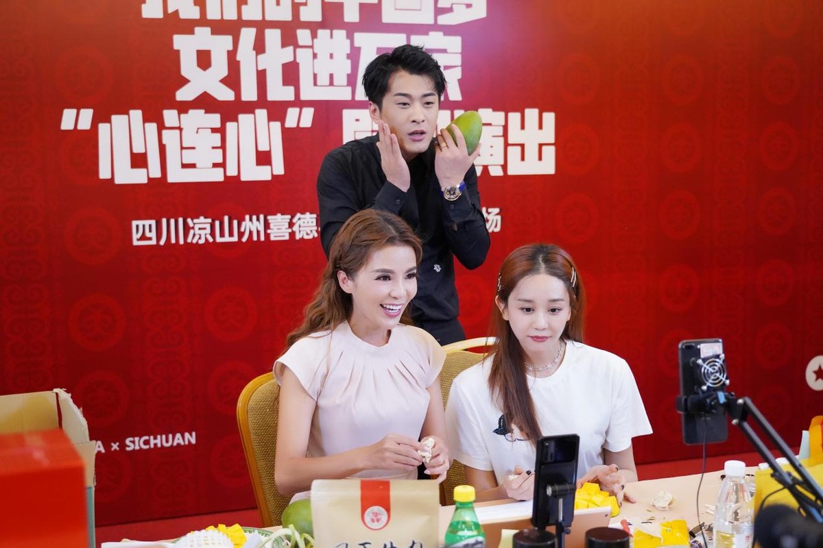 辛巴辛有志开启助农直播专场,辛巴辛有志从直播带货到电商课程