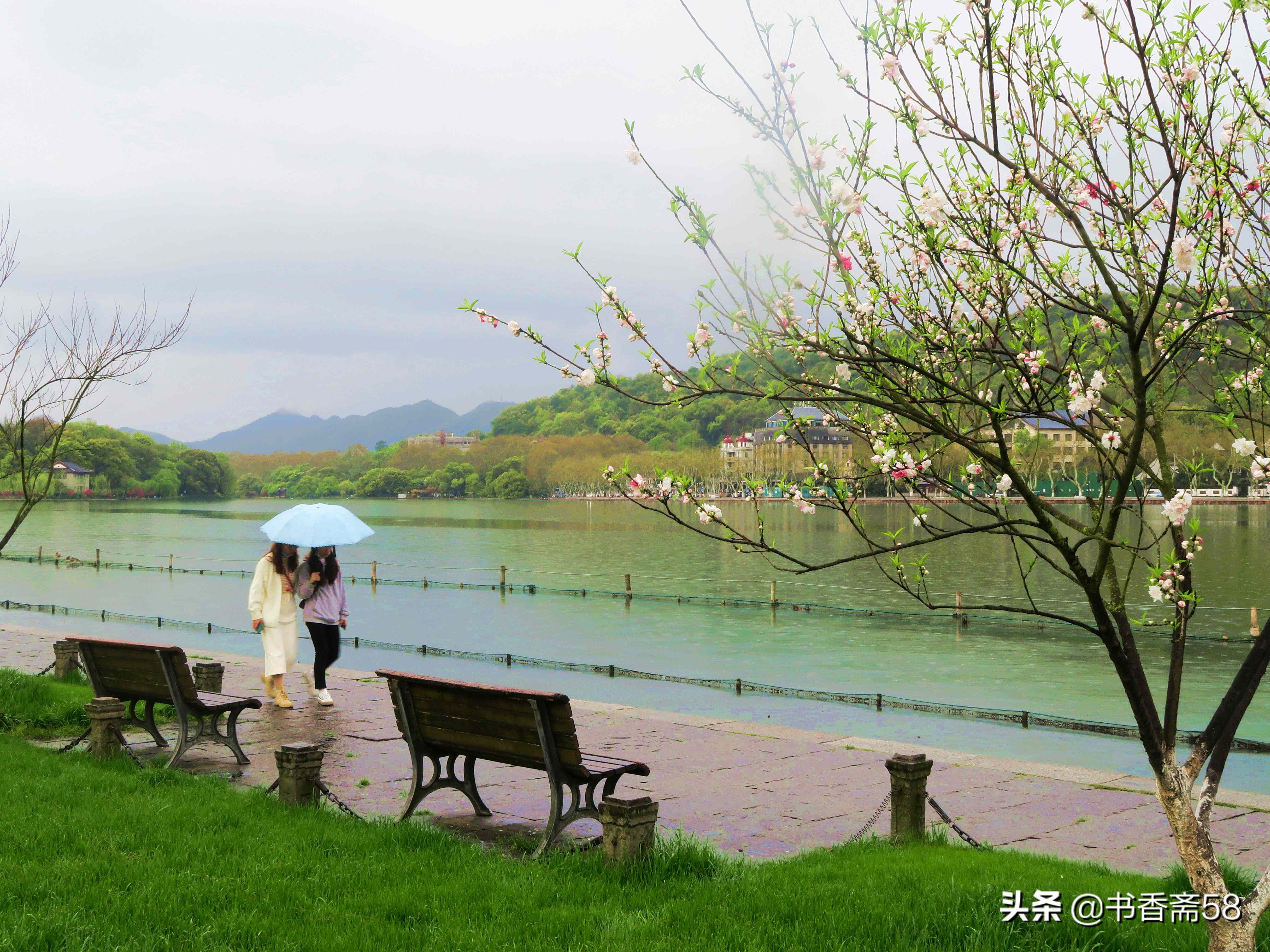 游玩西湖最佳线路攻略,西湖游览公交车路线