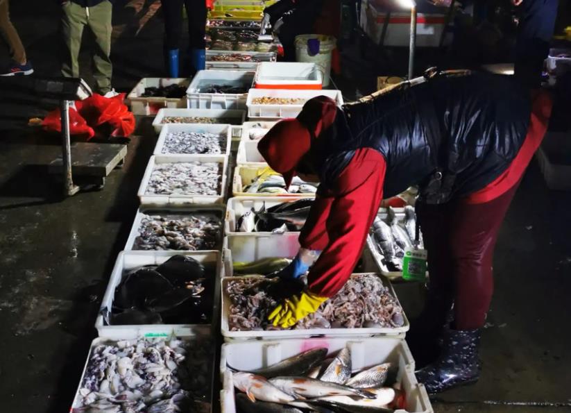 北海的海鲜便宜还是防城港的便宜 (北海吃哪些海鲜便宜)